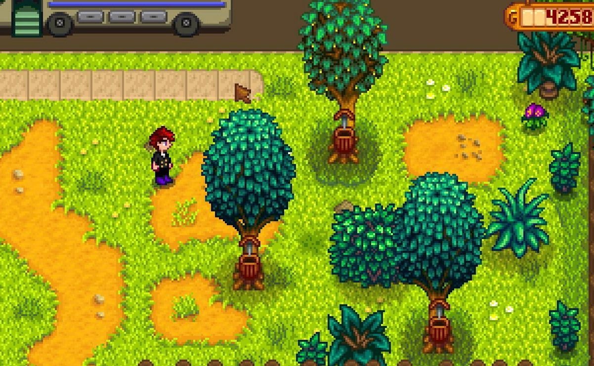 上古卷轴5：天际 年度版 截图2