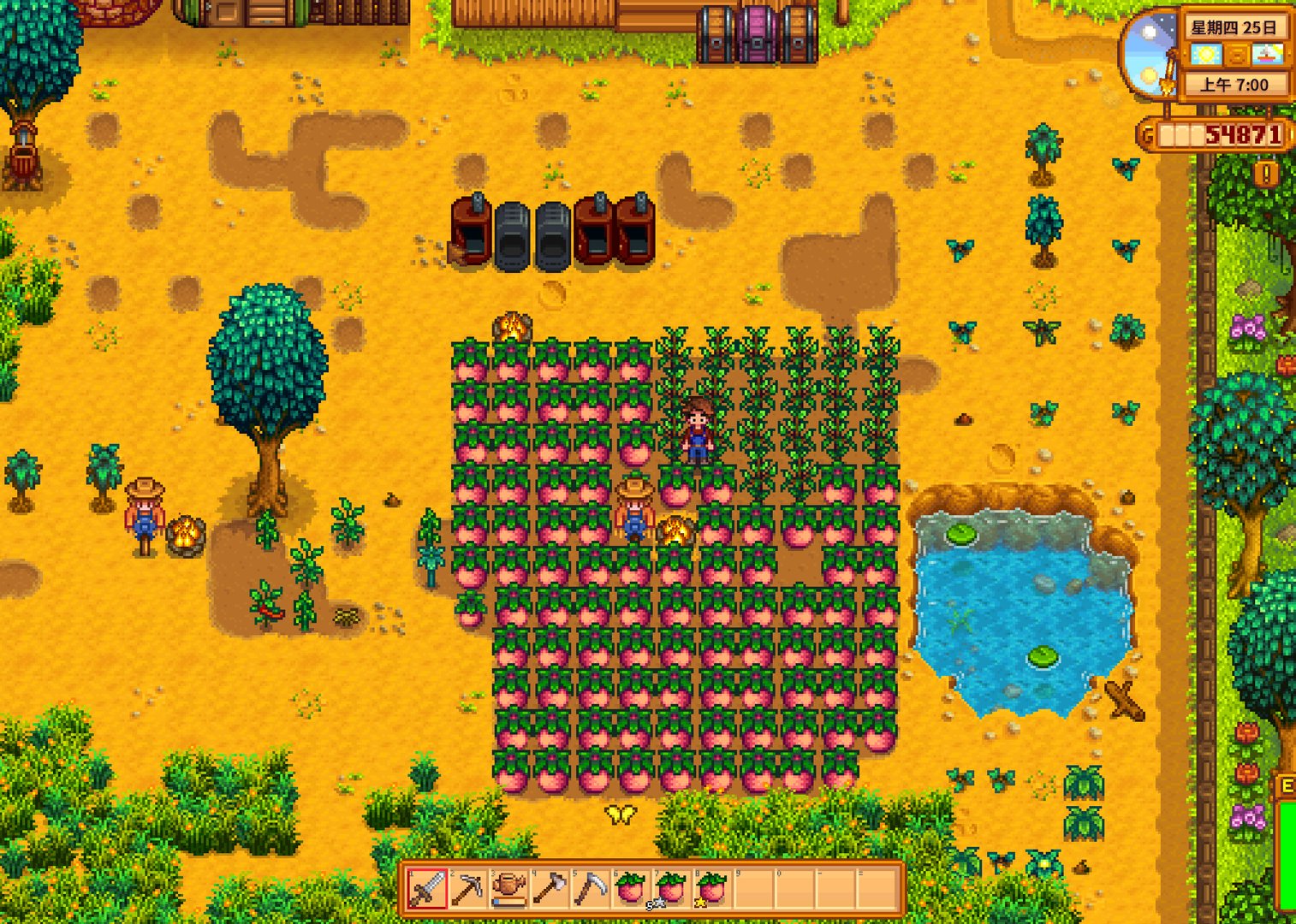 黑暗之魂3 终极版 截图10