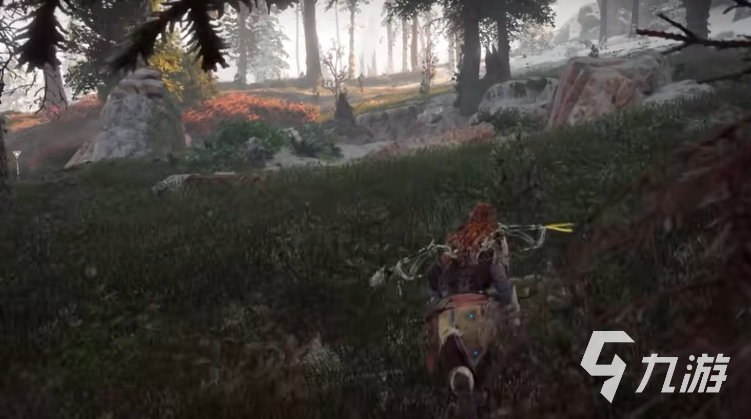 巫师3：狂猎 年度版 截图13