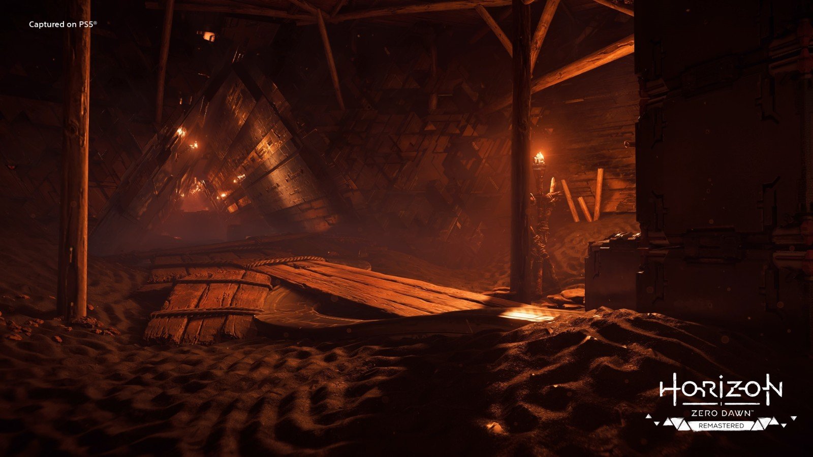 巫师3：狂猎 年度版 截图16